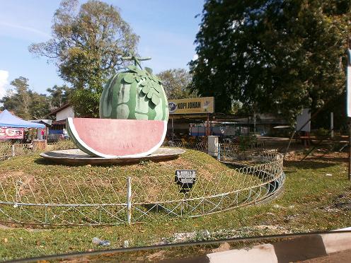 P3010039
